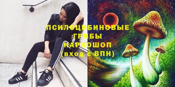 дживик Сафоново