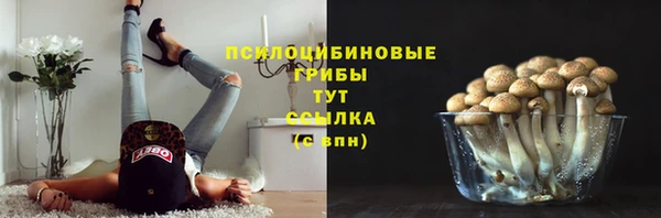 МДМА Сатка