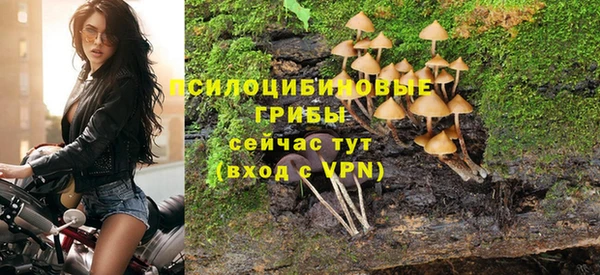 дживик Сафоново